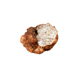 White Truffle