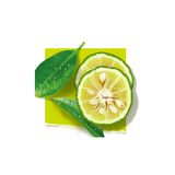 Yuzu
