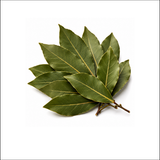 Bay Leaf