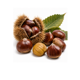 Chestnut