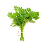 Coriander