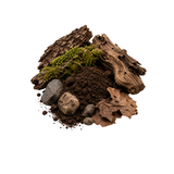 Earthy