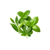 Green Leaves