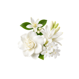 White Floral